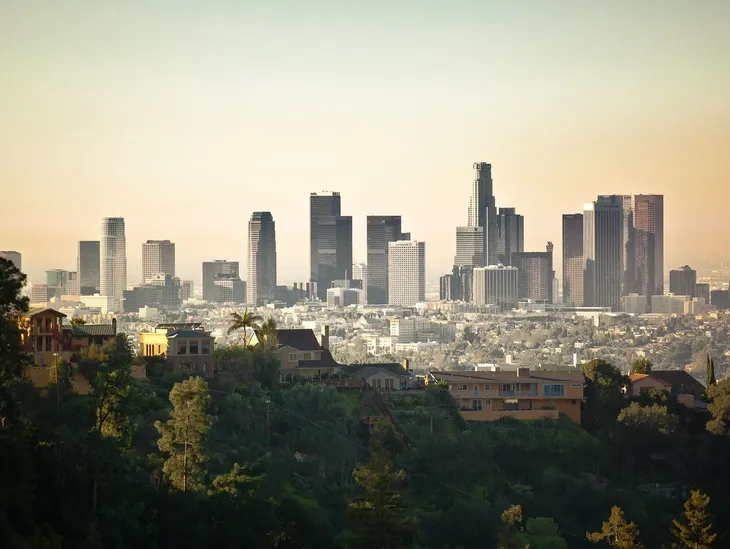 Los Angeles skyline with foreground greenery.